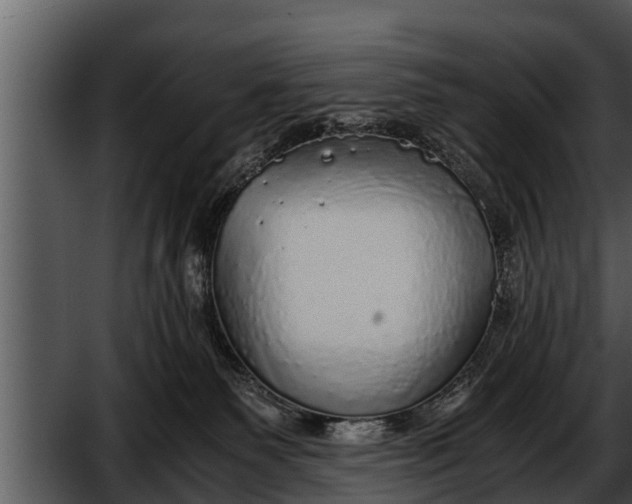 X0000052600135200507160021