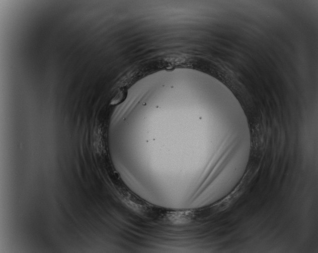 X0000052600136200507160021