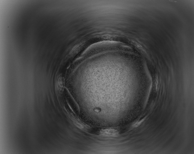 X0000052600137200507160021