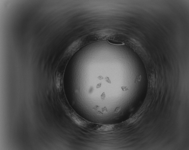 X0000052600138200507160021