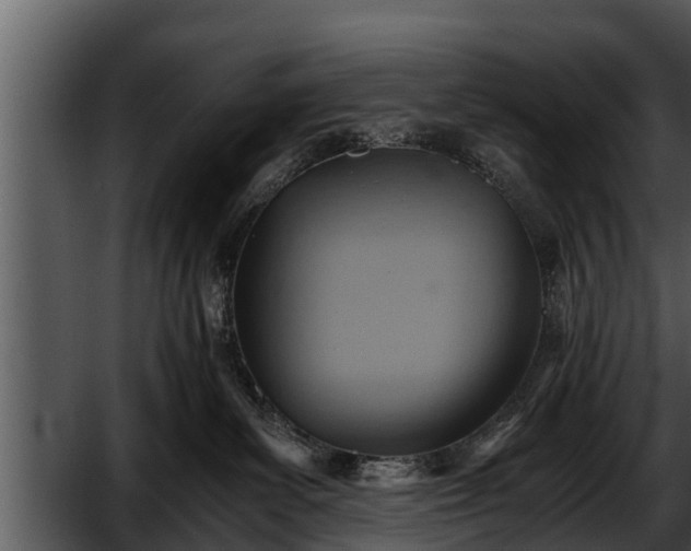 X0000052600139200507160021