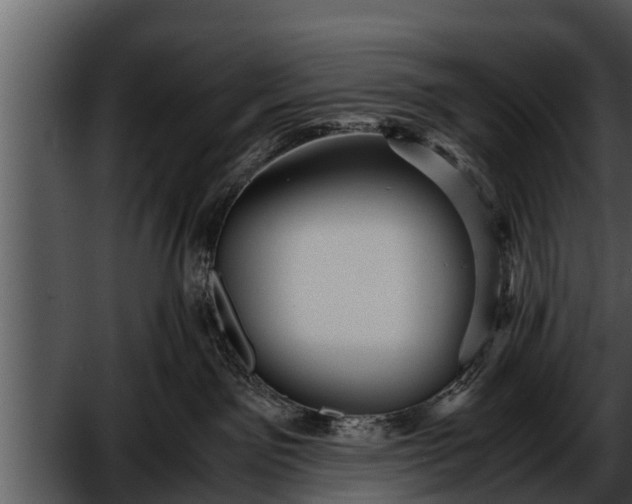 X0000052600141200507160021