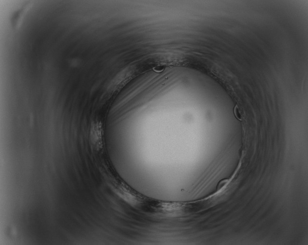 X0000052600144200507160021