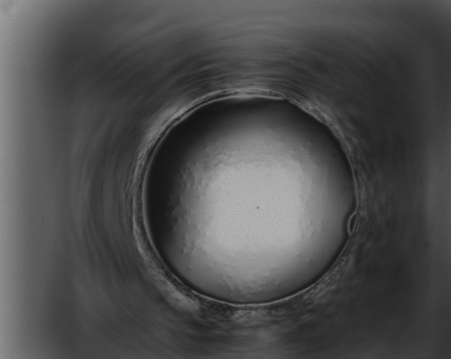 X0000052600145200507160020