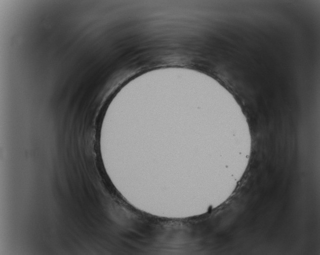 X0000052600146200507160020