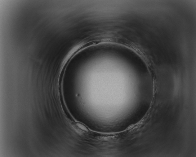 X0000052600147200507160020