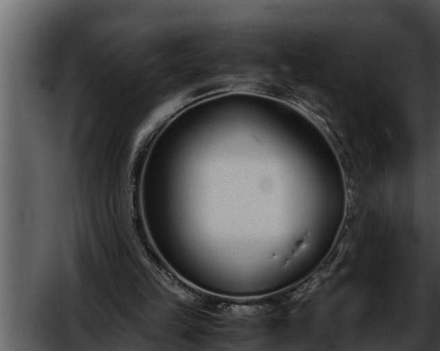 X0000052600149200507160020