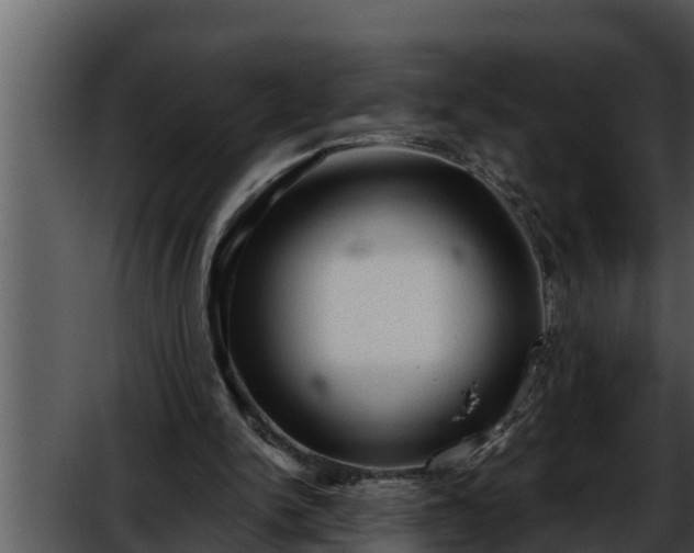 X0000052600150200507160020