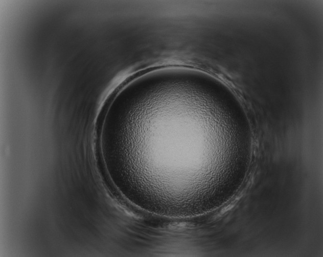 X0000052600152200507160020