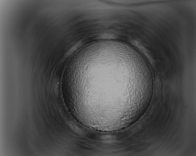 X0000052600153200507160020