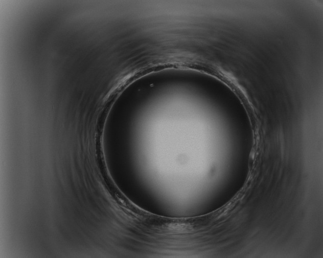 X0000052600154200507160020