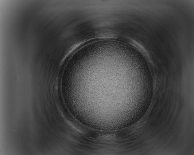 X0000052600155200507160020