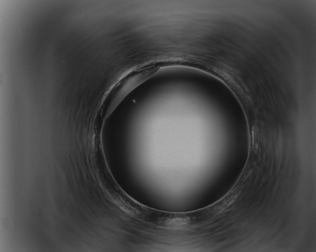 X0000052600156200507160020