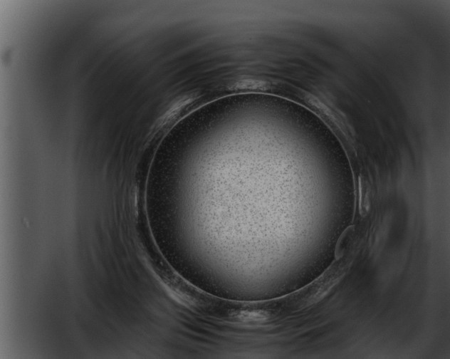 X0000052600157200507160020