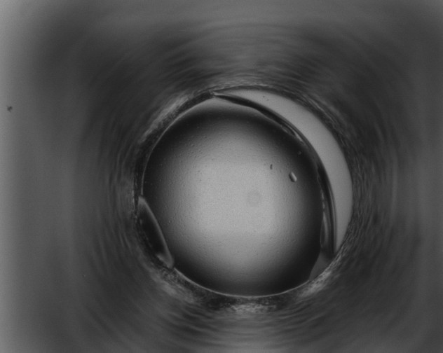 X0000052600158200507160020