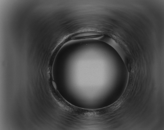 X0000052600160200507160020