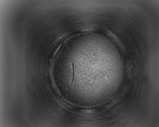 X0000052600161200507160020