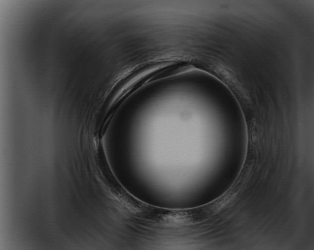 X0000052600164200507160020