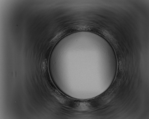 X0000052600165200507160020