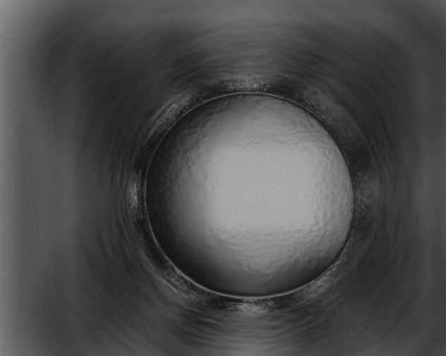 X0000052600166200507160020