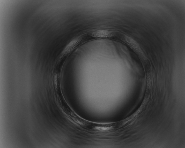 X0000052600167200507160020