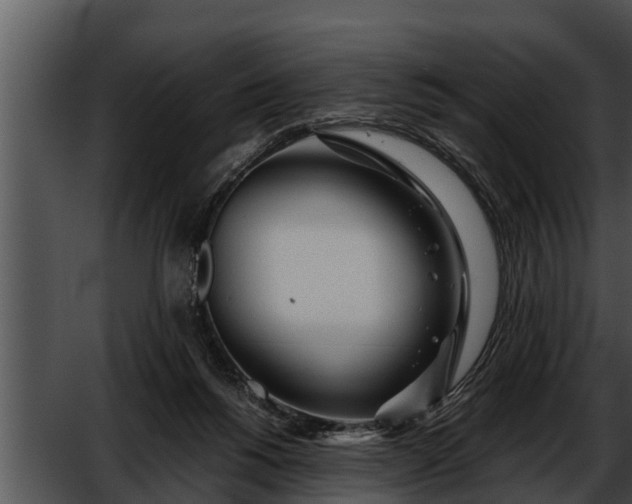 X0000052600168200507160020