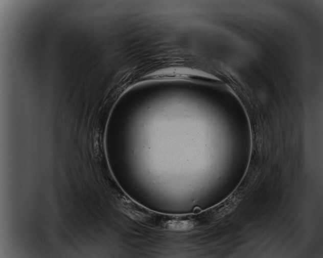 X0000052600169200507160020