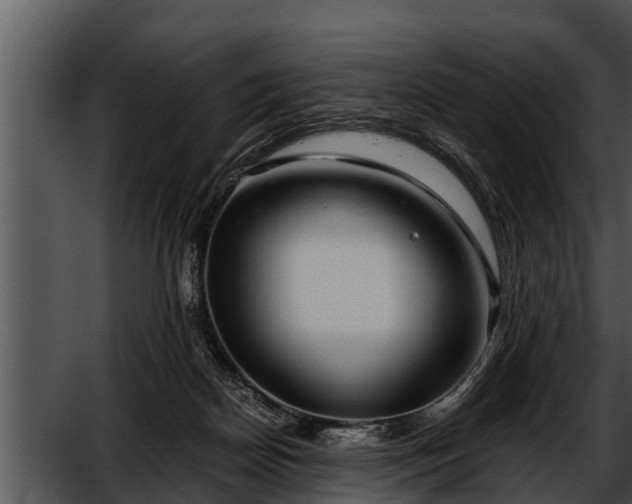 X0000052600170200507160020