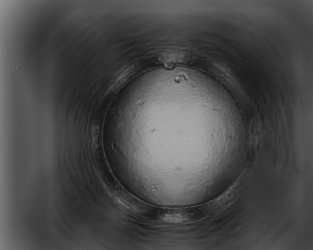 X0000052600171200507160020