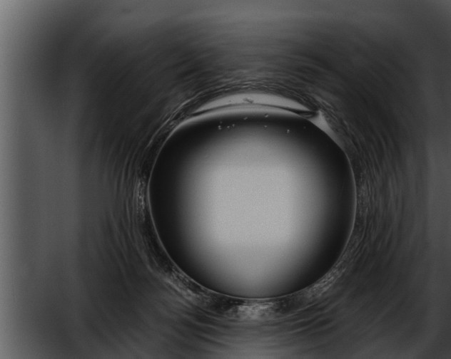 X0000052600172200507160020