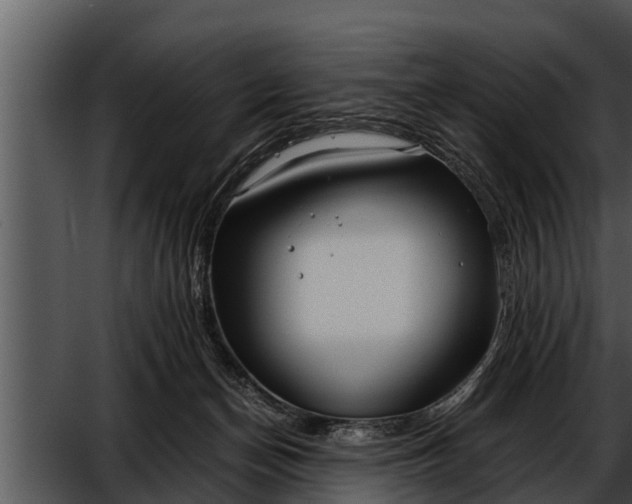 X0000052600174200507160020