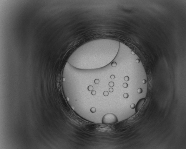 X0000052600175200507160020