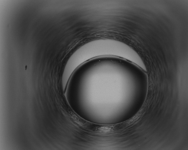 X0000052600176200507160020