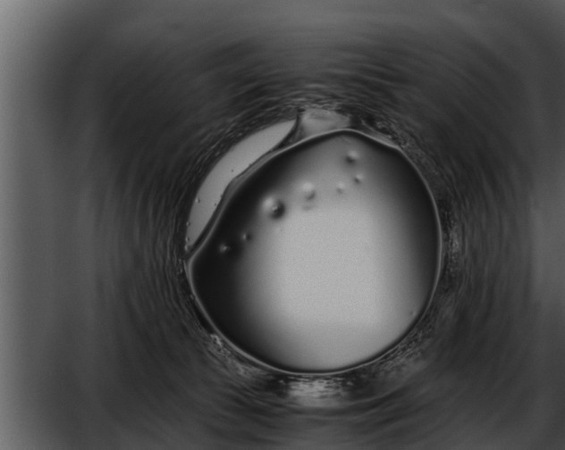 X0000052600177200507160020