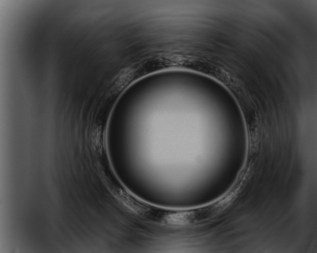 X0000052600178200507160020