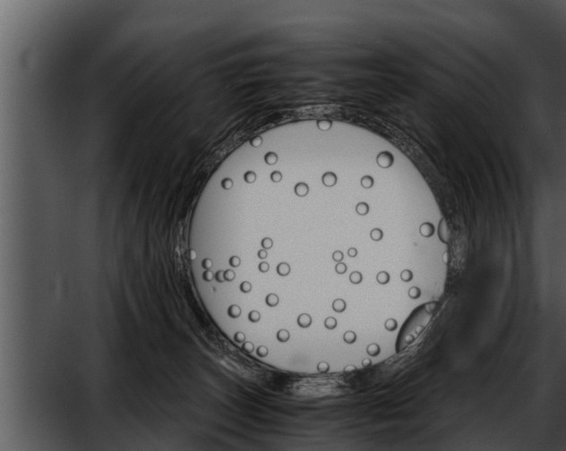 X0000052600179200507160020