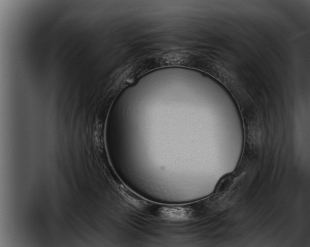 X0000052600181200507160020