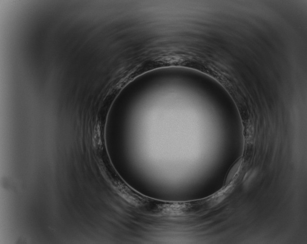 X0000052600182200507160020