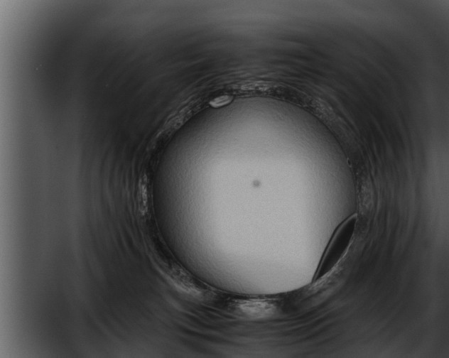 X0000052600183200507160020