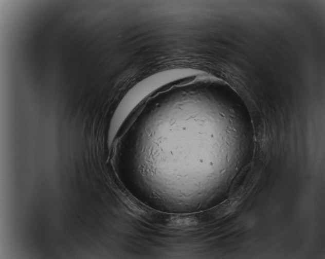 X0000052600185200507160021