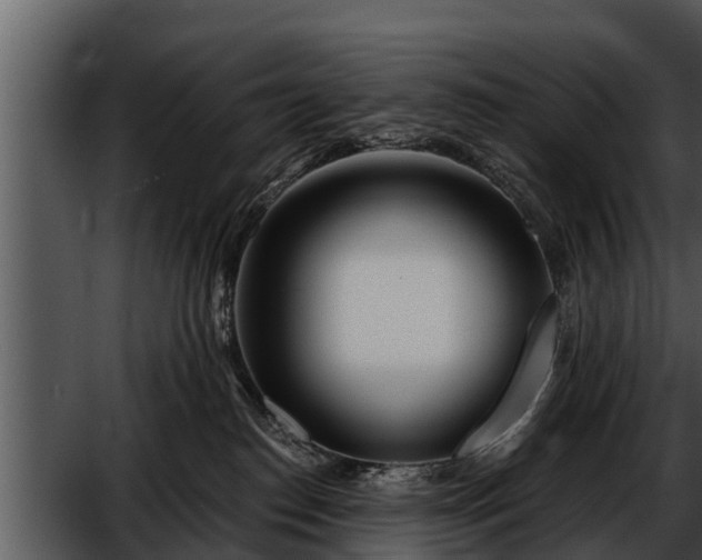 X0000052600186200507160021