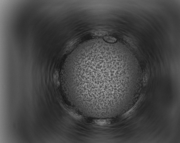 X0000052600187200507160021