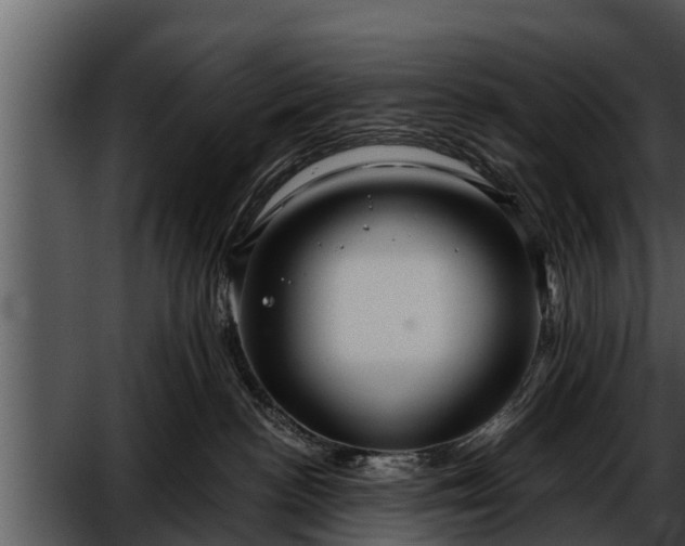 X0000052600188200507160021