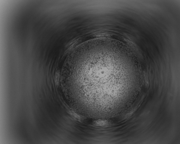 X0000052600189200507160021