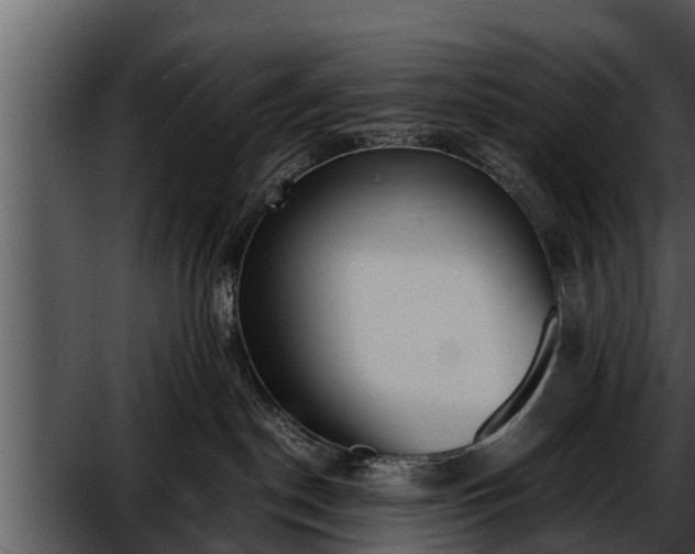 X0000052600190200507160021