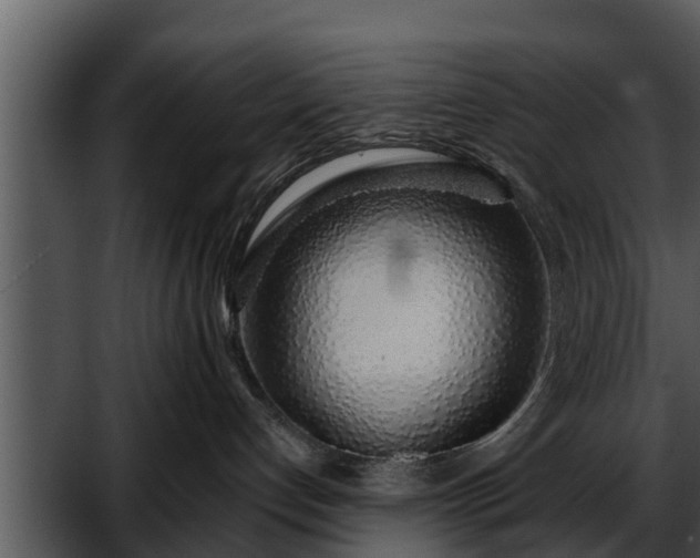 X0000052600192200507160021