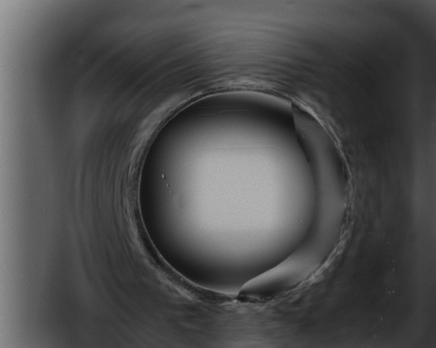 X0000052600193200507160020