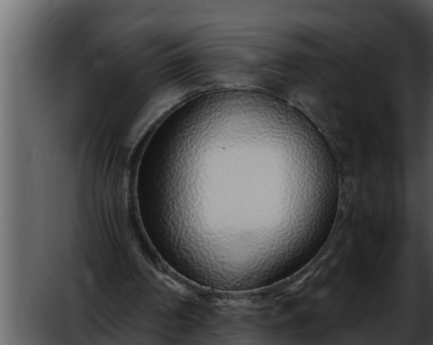 X0000052600194200507160020