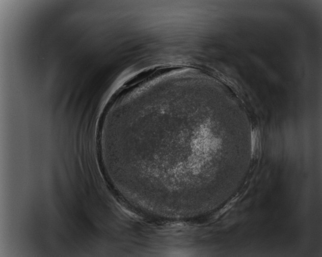 X0000052600195200507160020