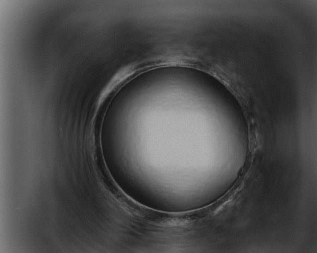 X0000052600198200507160020